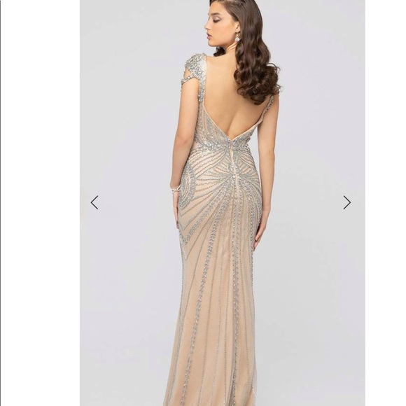 Terani Couture Dresses & Skirts - Terani Couture 1911GL9498